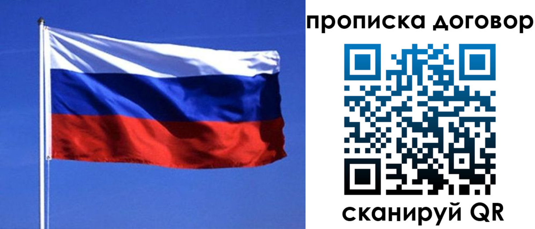 прописка поиск в Кудрово
